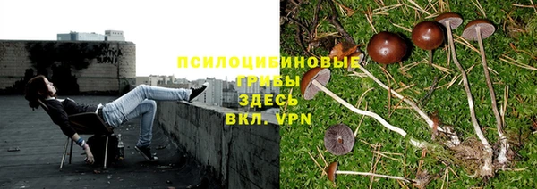 дживик Алексеевка