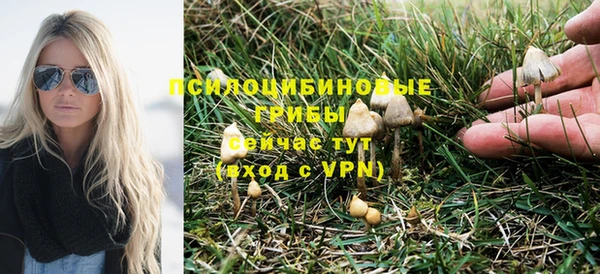 не бодяженный Алексин